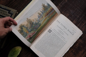 1860s - The Floral World & Garden Guide (loose page, not collectible)