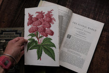 1860s - The Floral World & Garden Guide (loose page, not collectible)