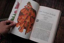 1860s - The Floral World & Garden Guide (loose page, not collectible)