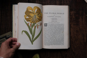 1860s - The Floral World & Garden Guide (loose page, not collectible)