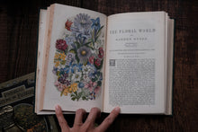 1860s - The Floral World & Garden Guide (loose page, not collectible)