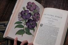 1860s - The Floral World & Garden Guide (loose page, not collectible)