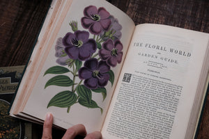 1860s - The Floral World & Garden Guide (loose page, not collectible)