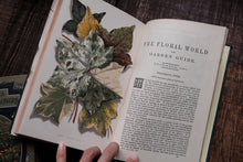 1860s - The Floral World & Garden Guide (loose page, not collectible)