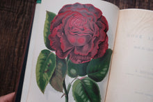 A Book about Roses
