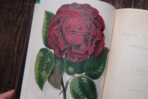 A Book about Roses