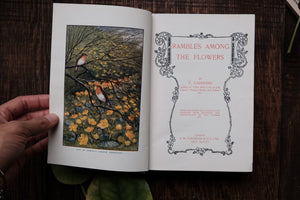 Rambles Among the Flowers