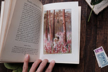 Rambles Among the Flowers