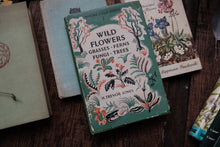 Nature Field Series - Wild Flowers, Grasses, Ferns, Fungi, Trees