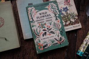 Nature Field Series - Wild Flowers, Grasses, Ferns, Fungi, Trees