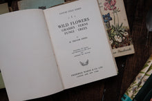 Nature Field Series - Wild Flowers, Grasses, Ferns, Fungi, Trees