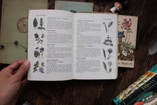 Nature Field Series - Wild Flowers, Grasses, Ferns, Fungi, Trees