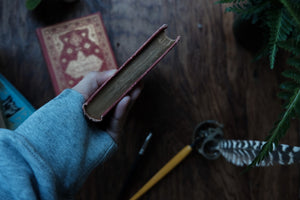 The Poet's Birthday Book