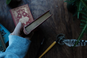 The Poet's Birthday Book