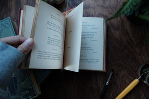 The Poet's Birthday Book