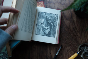 The Poet's Birthday Book