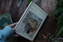 The Wind in the Willows illustrated by Arthur Rackham
