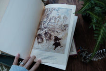 The Wind in the Willows illustrated by Arthur Rackham