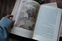 The Wind in the Willows illustrated by Arthur Rackham