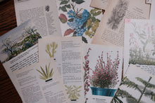 Vintage Floral Set for Junk Journaling/Scrapbooking