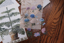 Vintage Floral Set for Junk Journaling/Scrapbooking