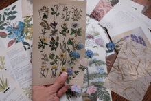 Vintage Floral Set for Junk Journaling/Scrapbooking
