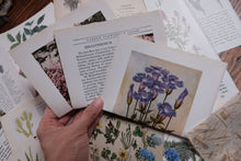 Vintage Floral Set for Junk Journaling/Scrapbooking