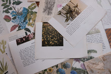 Vintage Floral Set for Junk Journaling/Scrapbooking