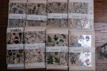 Vintage Floral Set for Junk Journaling/Scrapbooking