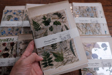 Vintage Floral Set for Junk Journaling/Scrapbooking