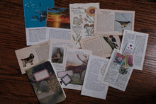 Ephemera Starter Kit for Collage/Junk Journaling/Scrapbooking