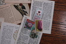 Ephemera Starter Kit for Collage/Junk Journaling/Scrapbooking