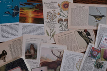 Ephemera Starter Kit for Collage/Junk Journaling/Scrapbooking