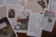 Ephemera Starter Kit for Collage/Junk Journaling/Scrapbooking