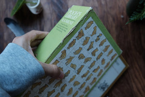 Complete set of 4 - 1960s Winnie-the-Pooh Collection by A.A.Milne