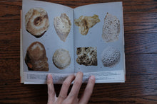 Clearance Box (Price Varies)