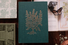 Herbs and the Earth by Henry Beston