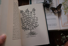 Herbs and the Earth by Henry Beston