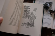 Herbs and the Earth by Henry Beston