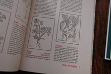 First Edition of Herbs for the Mediaeval Household