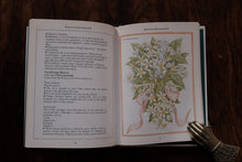 Herbs and Aromatherapy