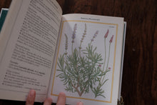 Herbs and Aromatherapy