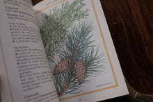 Herbs and Aromatherapy