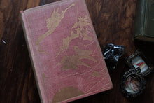 The Pink Fairy Book by Andrew Lang