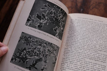 Open book with black and white illustrations of plants held by a hand.