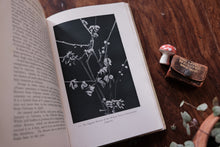 Open book with a black and white photo of flowers, a small mushroom, and a leather pouch on a wooden surface.