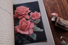 Floral illustration on a book page with a wooden surface and mushroom in the background