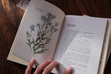 Clearance Box (Price Varies)