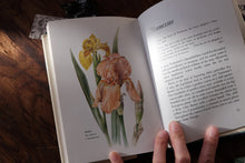 Clearance Box (Price Varies)