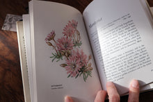 Clearance Box (Price Varies)